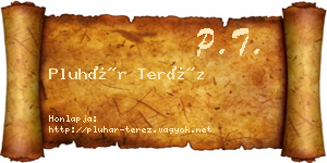 Pluhár Teréz névjegykártya